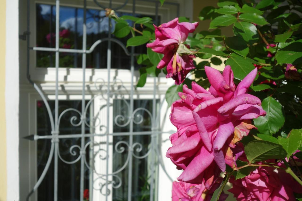 Villa Sonnenstrahl Mariánské Lázně Екстериор снимка