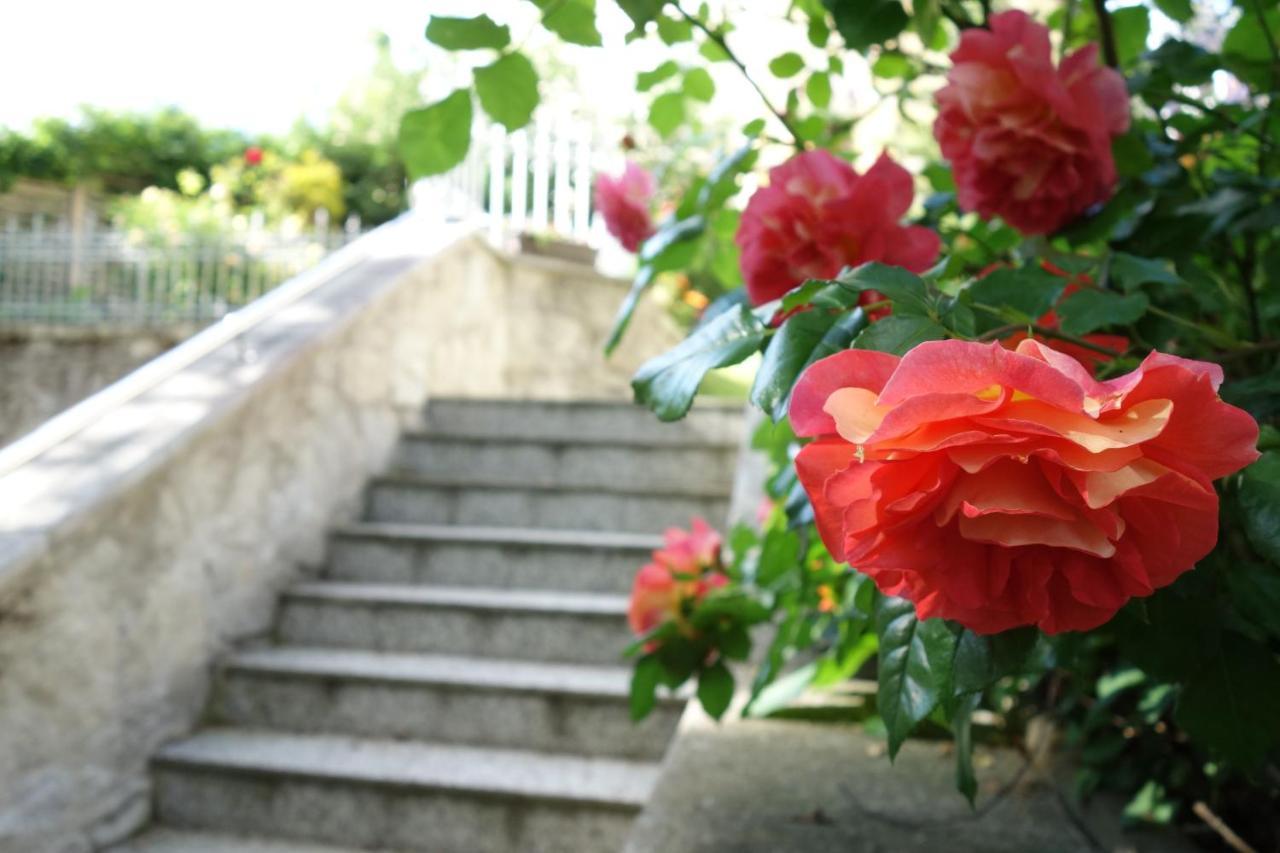 Villa Sonnenstrahl Mariánské Lázně Екстериор снимка