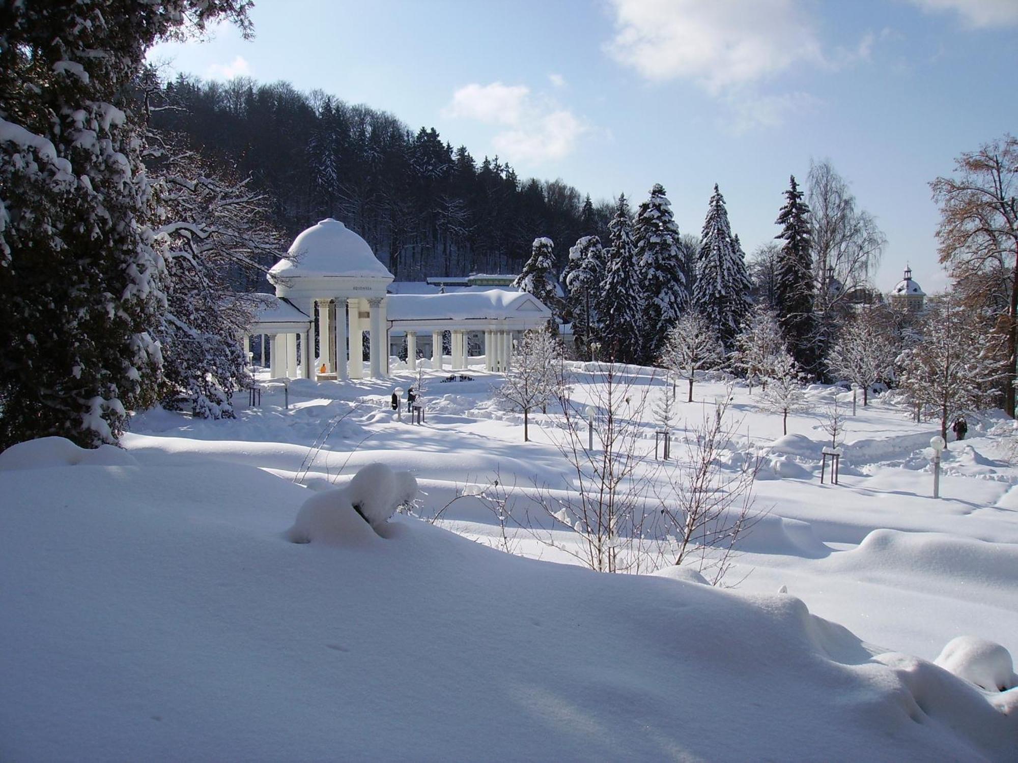Villa Sonnenstrahl Mariánské Lázně Екстериор снимка
